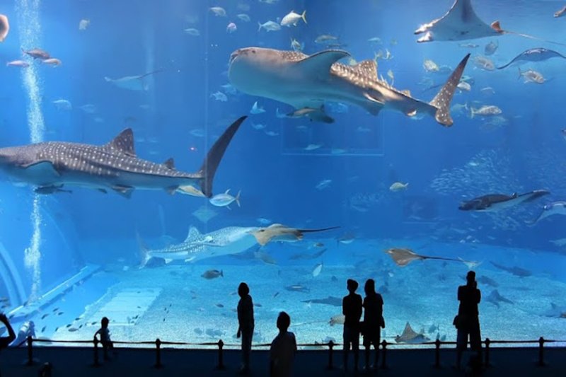 Best Place to visit in Dubai