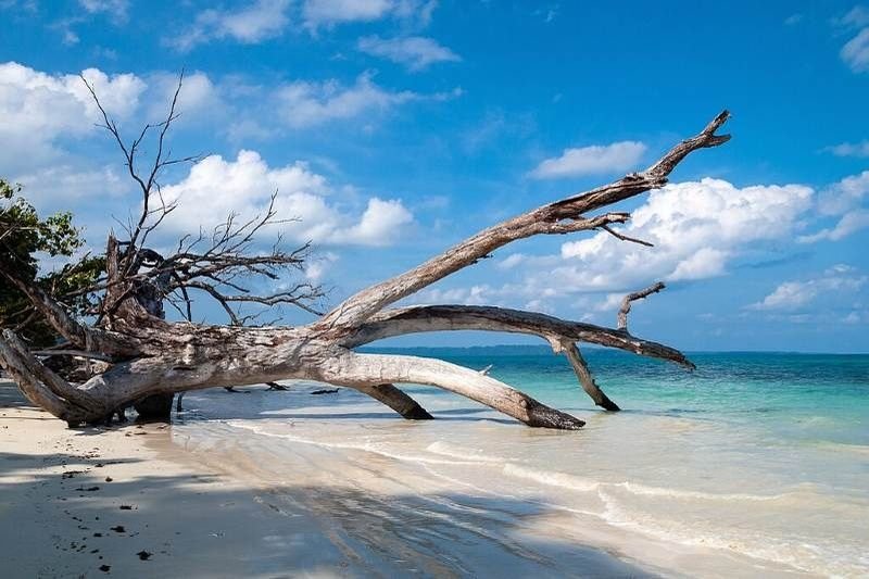 Dream Andaman Vacations: Book Your Custom Tour Package from Madurai Nt Holidays