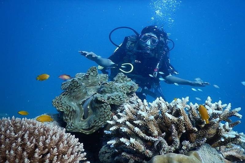 Best places to visit in Andaman