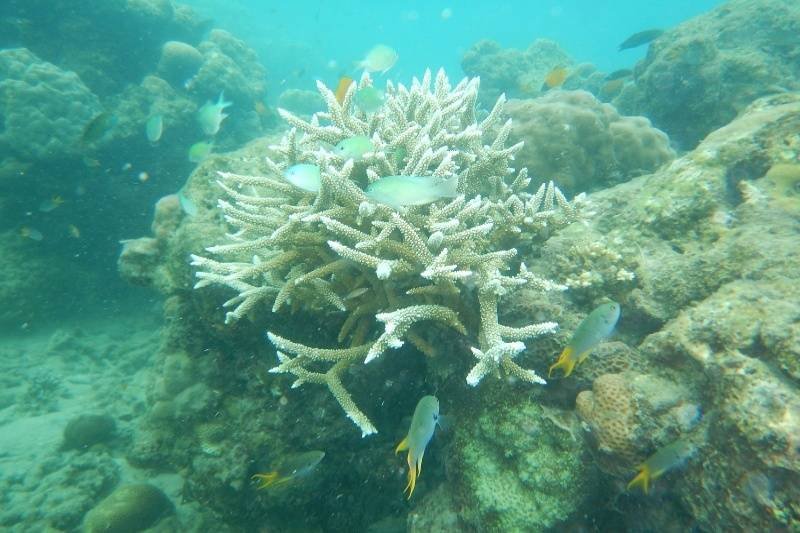 "All-Inclusive Andaman Island Tour Packages from Madurai"